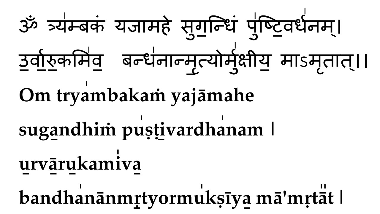 Family Prayer Vaidik Shlokas2